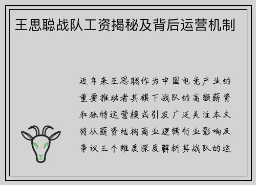王思聪战队工资揭秘及背后运营机制